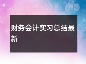 財(cái)務(wù)會(huì)計(jì)實(shí)習(xí)總結(jié)最新
