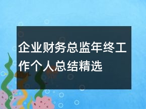 企業(yè)財務總監(jiān)年終工作個人總結精選