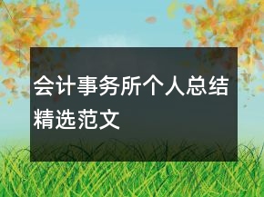 會計事務(wù)所個人總結(jié)精選范文