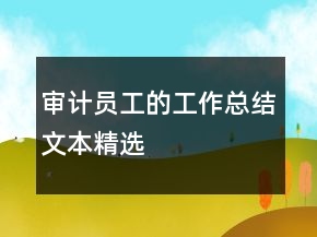 審計(jì)員工的工作總結(jié)文本精選