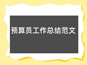 預算員工作總結(jié)范文