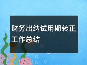 財務(wù)出納試用期轉(zhuǎn)正工作總結(jié)