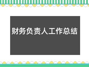 財(cái)務(wù)負(fù)責(zé)人工作總結(jié)