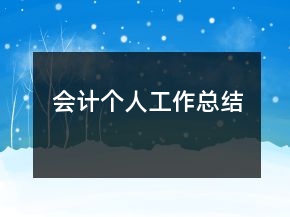 會計個人工作總結(jié)