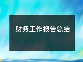 財務工作報告總結(jié)
