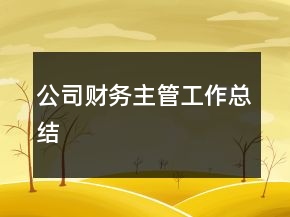 公司財務(wù)主管工作總結(jié)