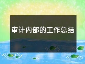 審計內(nèi)部的工作總結(jié)