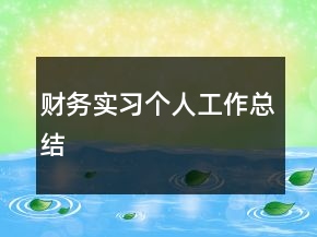 財(cái)務(wù)實(shí)習(xí)個(gè)人工作總結(jié)