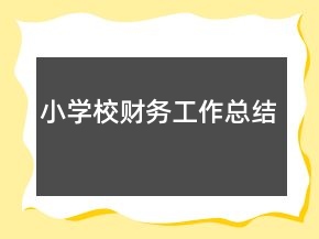 小學(xué)校財(cái)務(wù)工作總結(jié)
