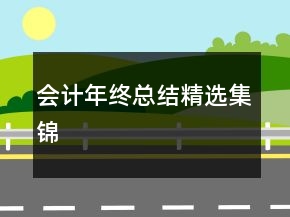 會(huì)計(jì)年終總結(jié)精選集錦