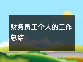 財務(wù)員工個人的工作總結(jié)