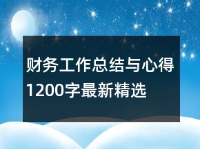 財務工作總結與心得1200字最新精選