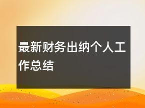 最新財(cái)務(wù)出納個(gè)人工作總結(jié)