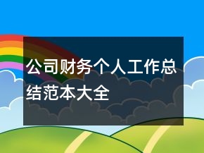 公司財務(wù)個人工作總結(jié)范本大全