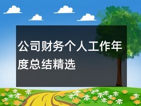 公司財(cái)務(wù)個(gè)人工作年度總結(jié)精選