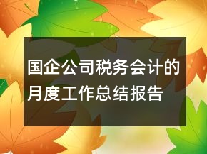 國(guó)企公司稅務(wù)會(huì)計(jì)的月度工作總結(jié)報(bào)告