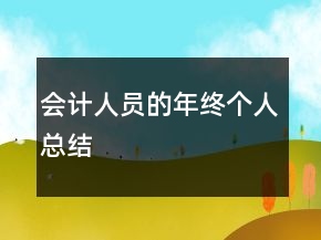 會計人員的年終個人總結