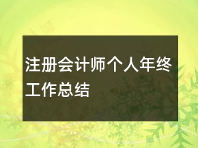 注冊會計師個人年終工作總結(jié)