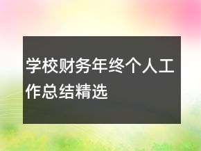 學(xué)校財(cái)務(wù)年終個(gè)人工作總結(jié)精選