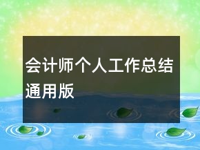 會計師個人工作總結(jié)通用版