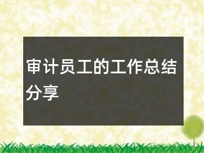 審計(jì)員工的工作總結(jié)分享