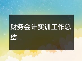 財務(wù)會計實訓工作總結(jié)