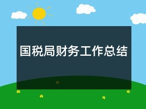 國稅局財務工作總結