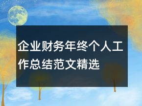 企業(yè)財務年終個人工作總結(jié)范文精選