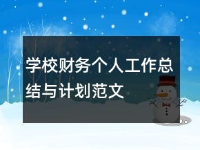 學(xué)校財(cái)務(wù)個(gè)人工作總結(jié)與計(jì)劃范文