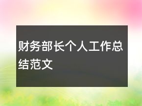 財務部長個人工作總結范文