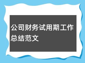 公司財務(wù)試用期工作總結(jié)范文