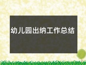 幼兒園出納工作總結(jié)