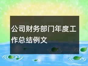 公司財務部門年度工作總結例文