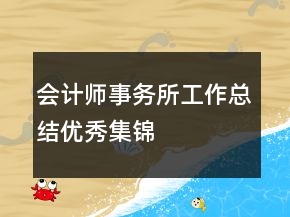 會(huì)計(jì)師事務(wù)所工作總結(jié)優(yōu)秀集錦