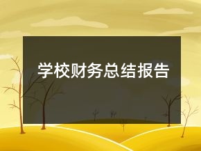 學(xué)校財(cái)務(wù)總結(jié)報(bào)告