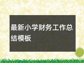 最新小學(xué)財務(wù)工作總結(jié)模板