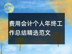 費(fèi)用會(huì)計(jì)個(gè)人年終工作總結(jié)精選范文