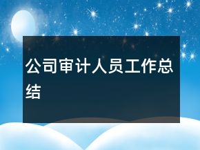 公司審計(jì)人員工作總結(jié)