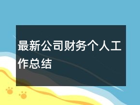 最新公司財(cái)務(wù)個(gè)人工作總結(jié)