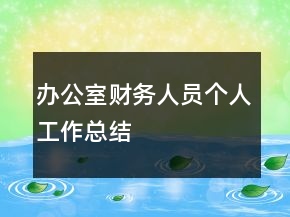 辦公室財務(wù)人員個人工作總結(jié)