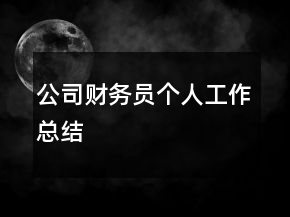 公司財(cái)務(wù)員個(gè)人工作總結(jié)