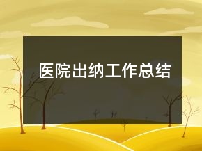 醫(yī)院出納工作總結(jié)