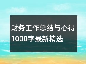 財務工作總結(jié)與心得1000字最新精選