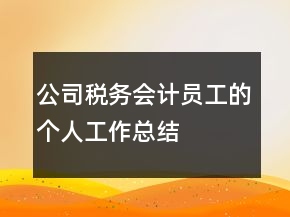 公司稅務會計員工的個人工作總結