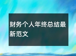 財務(wù)個人年終總結(jié)最新范文