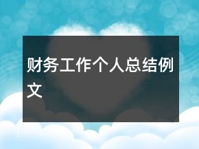 財(cái)務(wù)工作個(gè)人總結(jié)例文