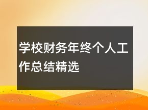 學校財務年終個人工作總結精選