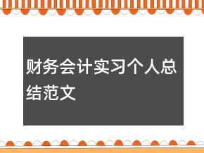 財務(wù)會計實(shí)習(xí)個人總結(jié)范文
