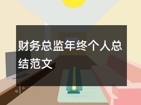 財務(wù)總監(jiān)年終個人總結(jié)范文
