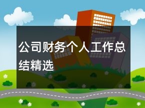 公司財務(wù)個人工作總結(jié)精選